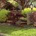 curb appeal landscaping