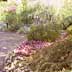 flower beds and brick path