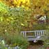 garden bench with autumn colors
